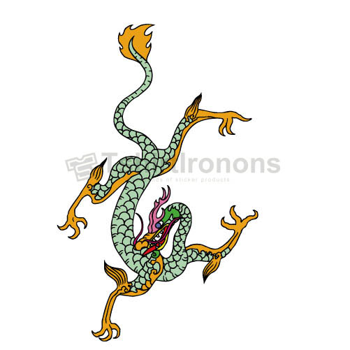 Dragon T-shirts Iron On Transfers N5453